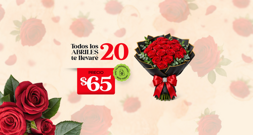 20 Rosas Abril