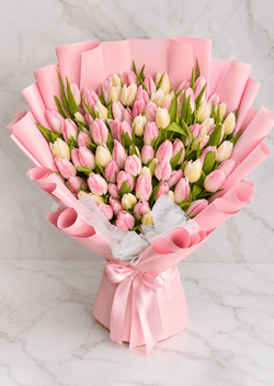 100 Tulips Bouquet with Tissue and Floral Wrap