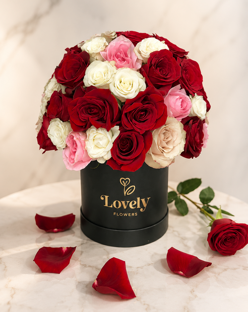 Black Medium Size Round Box