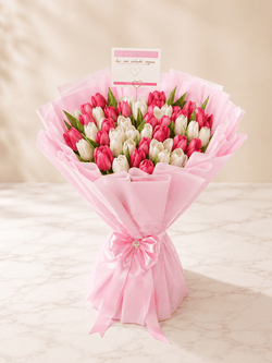 50 Tulips