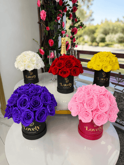 25 Yellow Everlasting Rose Box