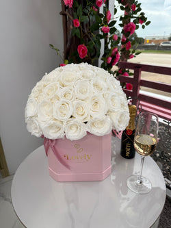 50 Everlasting White Rose