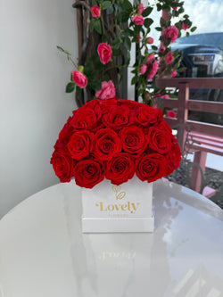 25 Square Dome Everlasting Red Rose Box