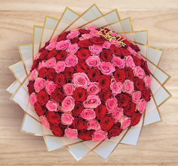 100 Red and Pink Roses Bouquet