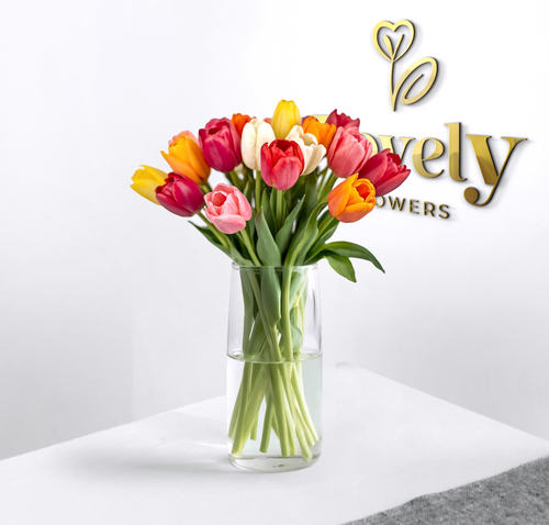 Premium Mixed Tulips Bouquet | Lovely Flowers